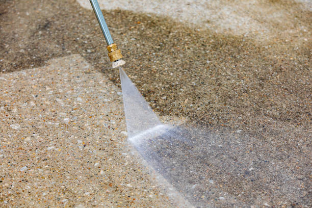 Best Residential Exterior Washing  in Sun City Center, FL
