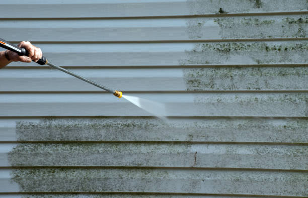 Best Building Exterior Washing  in Sun City Center, FL